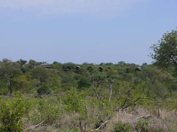 Bushveld Camp im Balule Nature Reserve