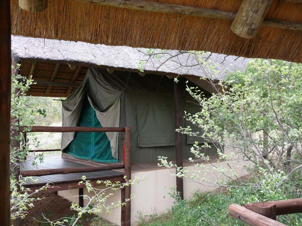 Unterkunft im Drifters Bushveld Camp im Balule Nature Reserve