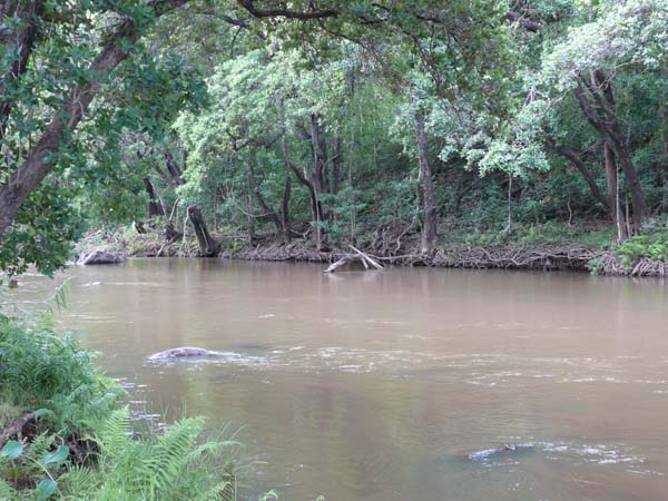 Sabie River unterhalb des Inns