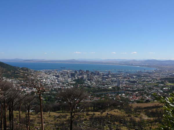 Blick über Cape Town vom Fuß des Tafelberges