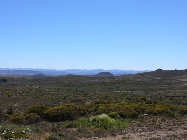 Die Große Karoo - Atemberaubende Halbwüste