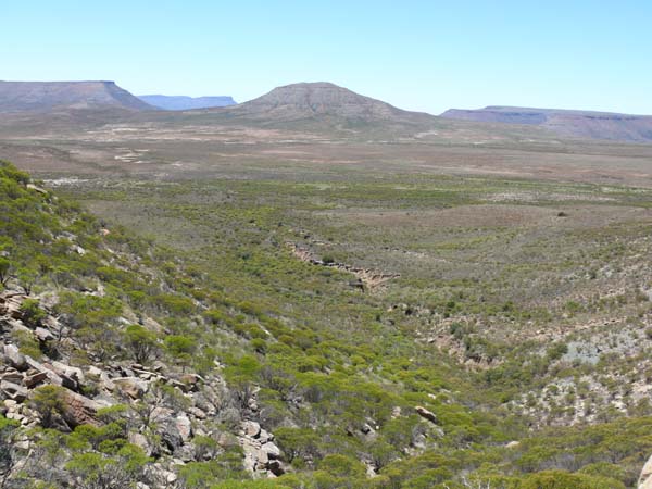 Landschaft der Großen Karoo