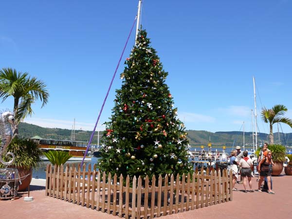 Weihnachtsbaum an der Waterfront in Knysna