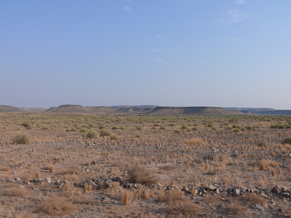 Die typischen Halbwüste Namibias