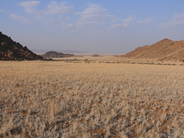 Der Ausblick aus den Zelten - Drifters Desert Camp