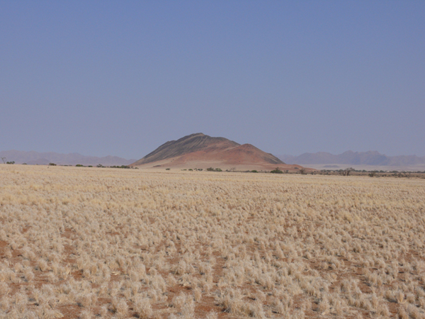 Trockene Graslandschaft - Drifters Desert Camp